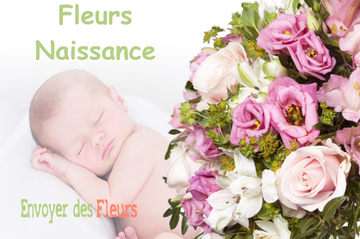 lIVRAISON FLEURS NAISSANCE à BOISMORAND